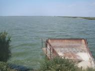 Рисове з panoramio.com