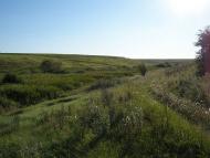 Запашка з panoramio.com