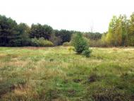 Три Копці з panoramio.com