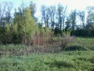 Красноармійське з panoramio.com