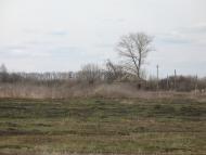 Аркадівка з panoramio.com