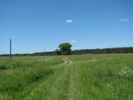 Уланове - Останні фото