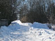 Ушня з panoramio.com