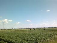 Грабівці з panoramio.com