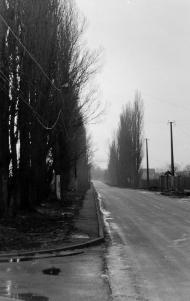 Михайлівка-Рубежівка з panoramio.com