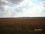 Калиновиця - Останні фото