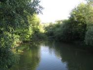 Петрашівка з panoramio.com