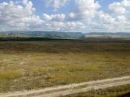 Сирень з panoramio.com