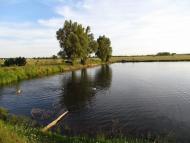 Березина - Останні фото