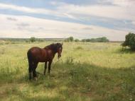 Новий Донбас з panoramio.com