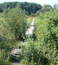 Снітівка з panoramio.com