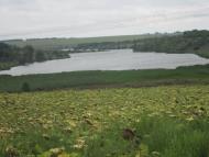 Козакова Балка з panoramio.com