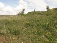 Рози Люксенбург з panoramio.com