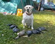 Юшки з panoramio.com