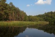 Червоний Шахтар з panoramio.com