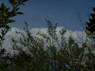 Талаківка з panoramio.com