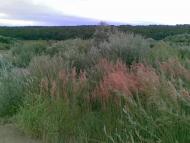 Бабин-Зарічний з panoramio.com