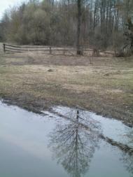 Осьмаки з panoramio.com