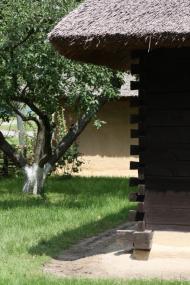 Чорнухи з panoramio.com