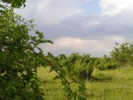 Перегінське з panoramio.com - Перегінське