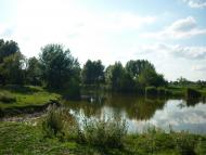 Майорщина з panoramio.com