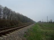 Грибенинка - Останні фото