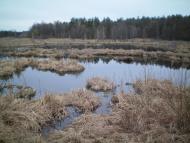 Осьмаки з panoramio.com