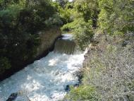 Velyke Mishkove - Latest photos