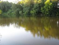 Срібне з panoramio.com