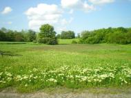 Слюсарі з panoramio.com