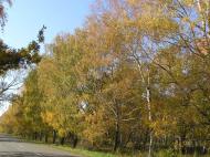 Петровське з panoramio.com