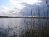 Гребені з panoramio.com