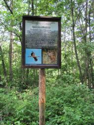 Старі Кути з panoramio.com