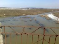 Ботар - Последние фото