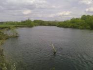 Нові Вирки з panoramio.com