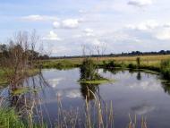 Ретик з panoramio.com