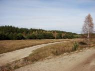 Шаболтасівка - Останні фото