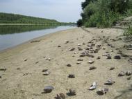 Ушня - Обрані фото