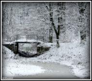 Луків з panoramio.com