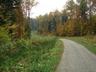 Товмачик з panoramio.com