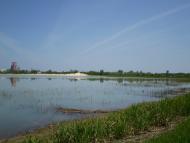 Лемешівка з panoramio.com