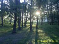 Новомутин з panoramio.com