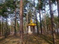 Дубовичі з panoramio.com