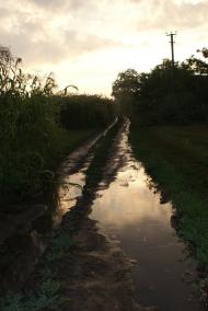 Чемерпіль з panoramio.com