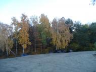 Старі Петрівці з panoramio.com