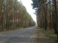 Довга Гребля з panoramio.com