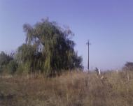 Грузько-Зорянське з panoramio.com