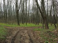 Демидівка з panoramio.com