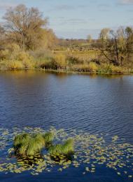 Карпилівка з panoramio.com