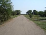 Весняна Квітка з panoramio.com